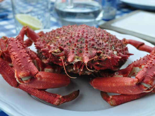 Araignée de mer cuite dans une assiette