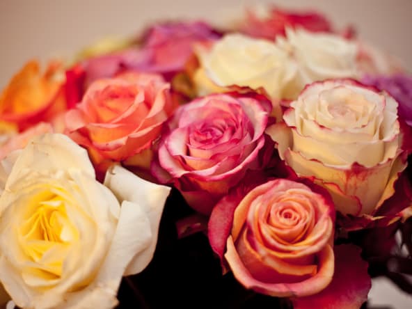 Bouquet de roses