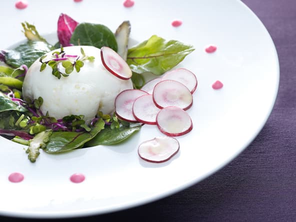 Oeuf poché au mesclun