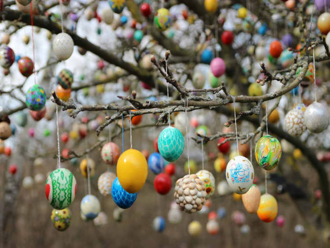 Oeufs de Pâques colorés suspendus dans un arbre