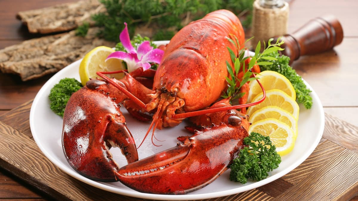 Homard cuit sur assiette blanche