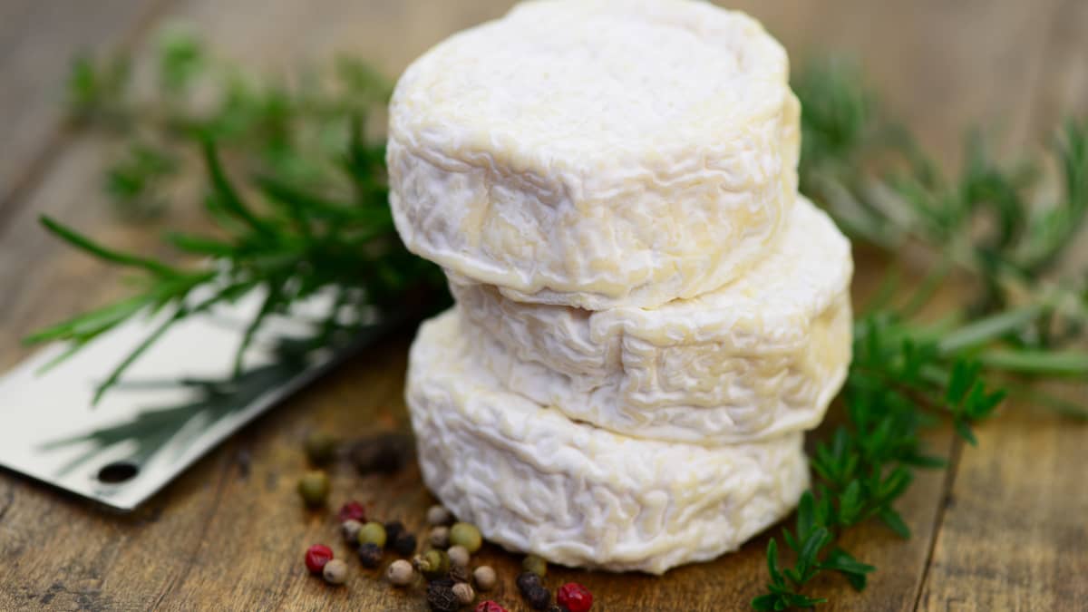 Petits fromages de chèvre sur planche en bois