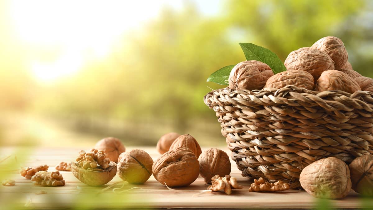 Noix dans un panier en osier posé sur une table