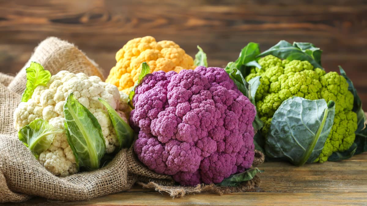 Choux-fleurs