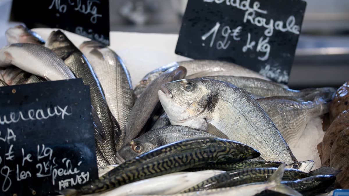 Vente de poissons frais dans une poissonnerie