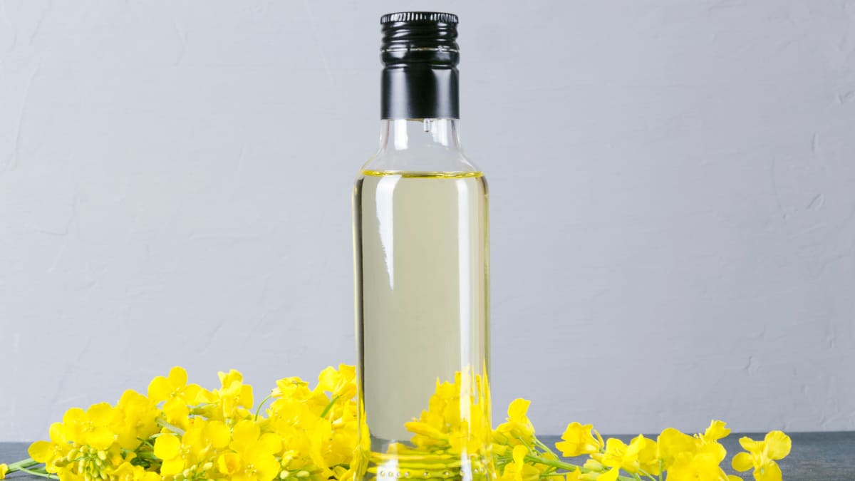 Petit flacon d'huile de colza et fleurs de colza