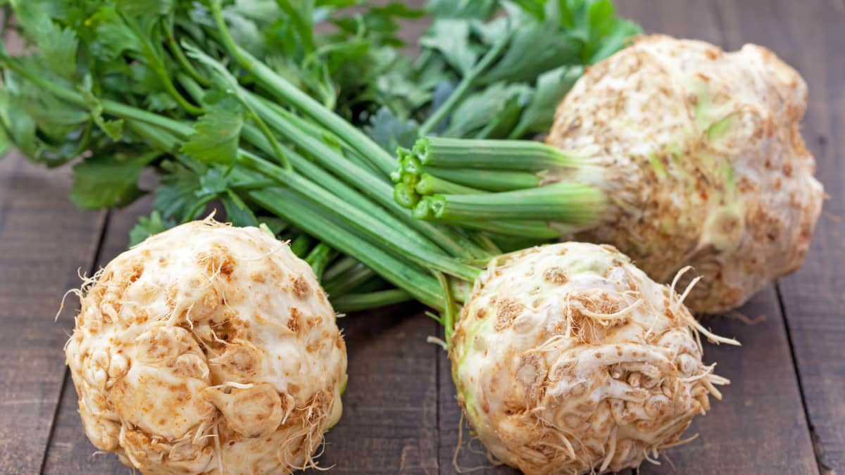 Boules de céleri frais avec les feuilles