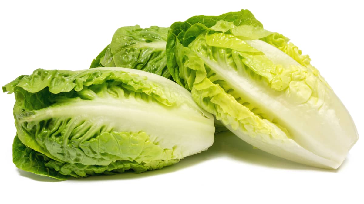 Sucrines sur fond blanc