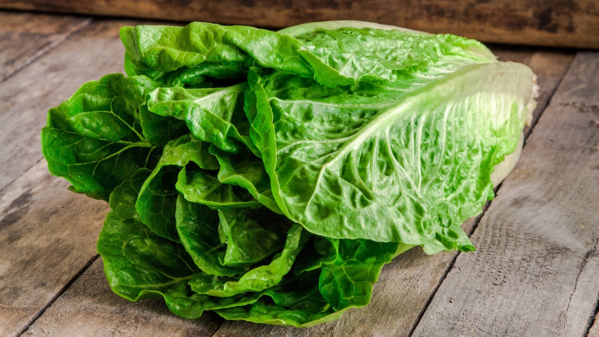 Salade romaine sur fond bois