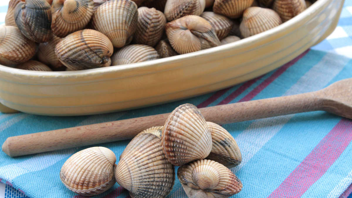 Petit plateau de coques sur serviette bleue