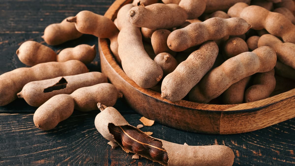 Tamarins sur fond de bois sombre