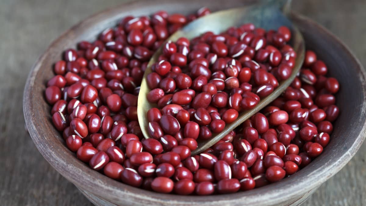 Haricots azuki secs dans un bol en argile sur une table en bois