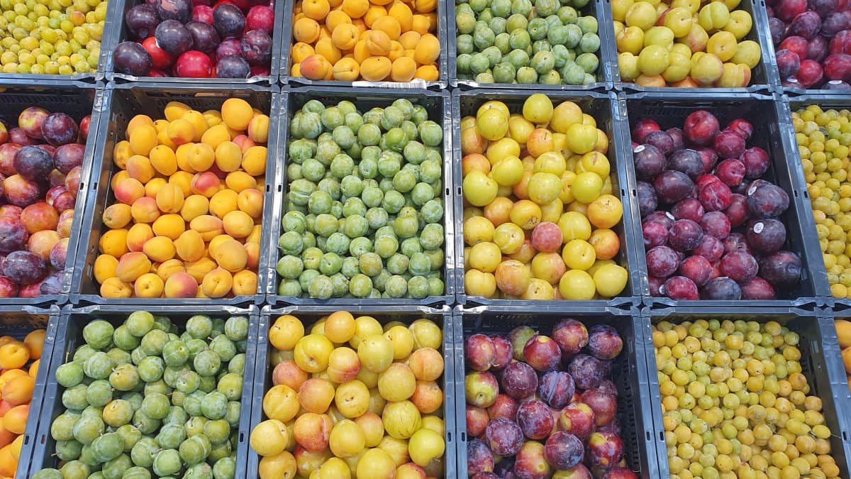 Prunes de différentes variétés