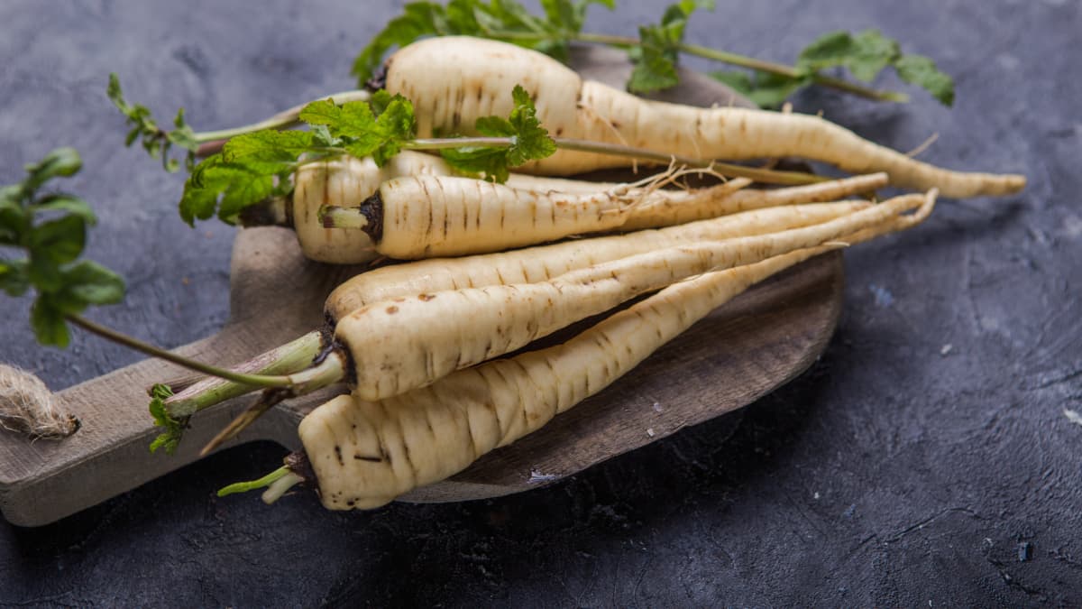 Botte de panais frais