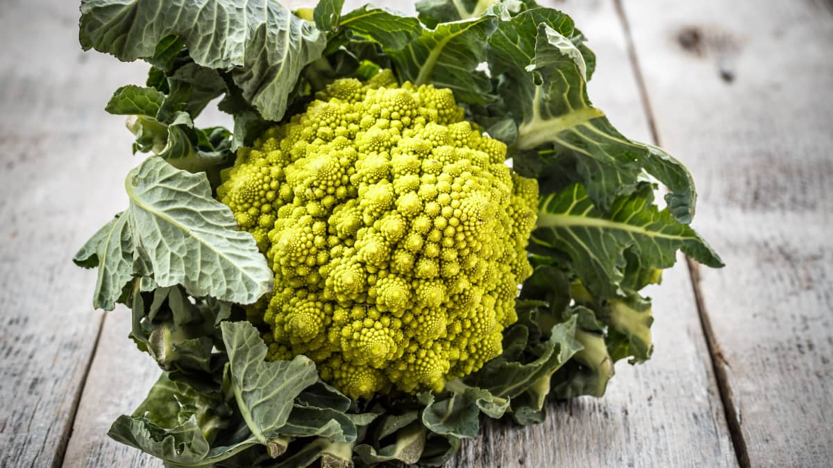 Chou romanesco