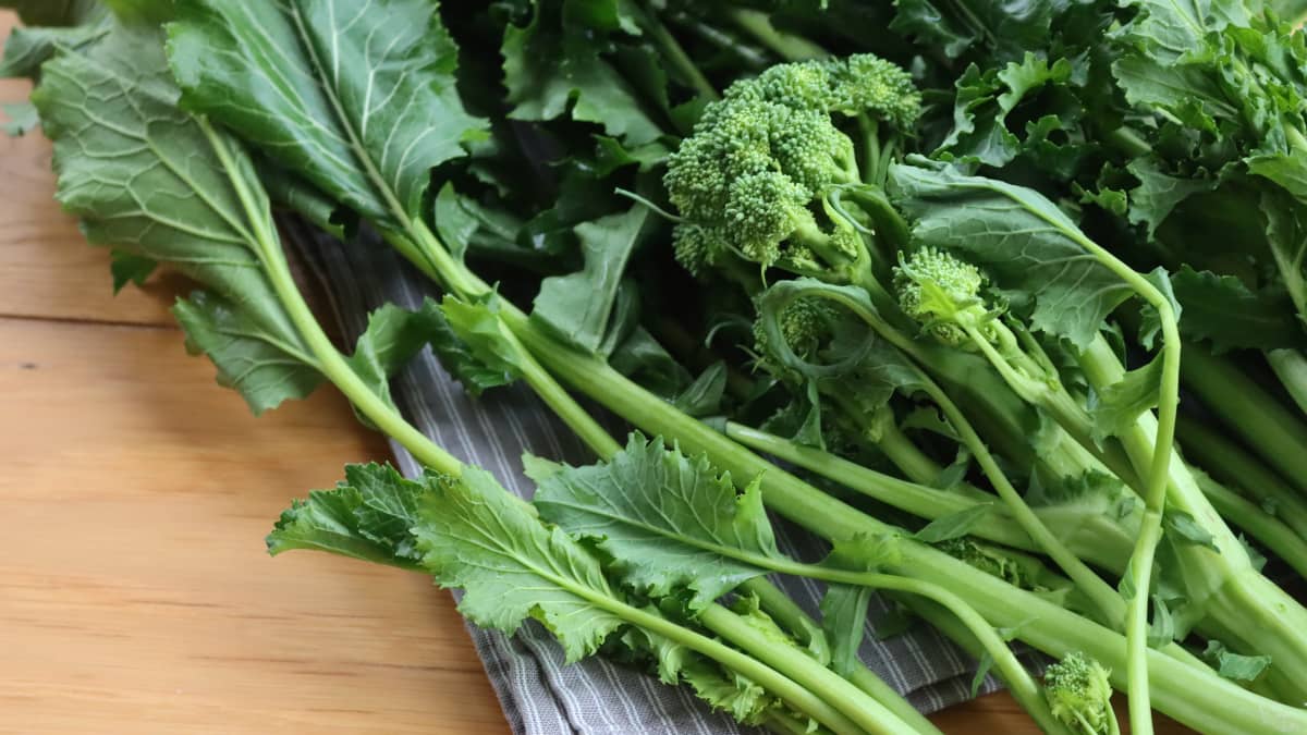 Tiges de cime di rapa