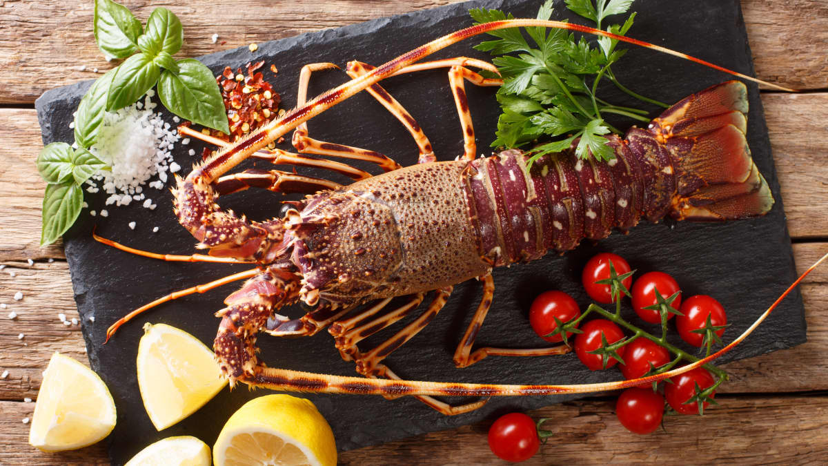 Langouste 
