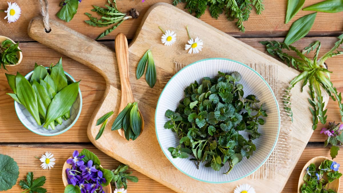 Plantes et fleurs comestibles