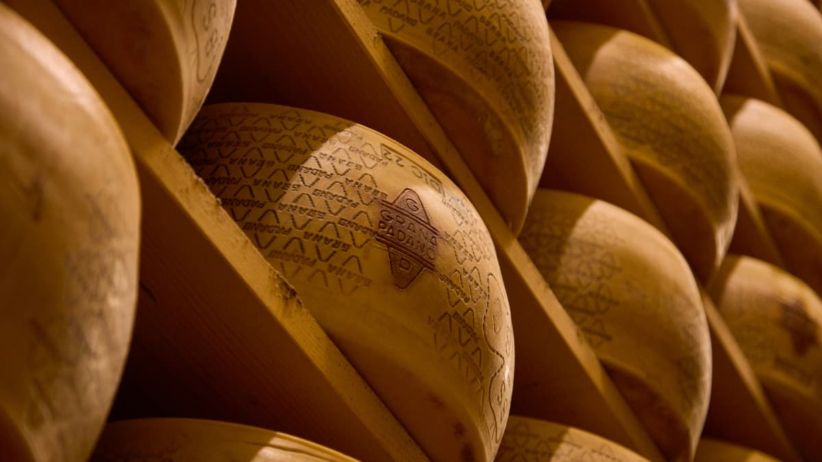 Meules de Grana Padano