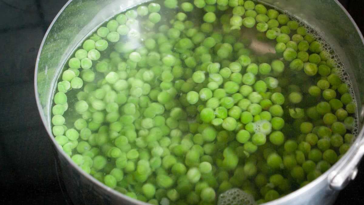 Casseroles de petits pois dans l'eau frémissante.