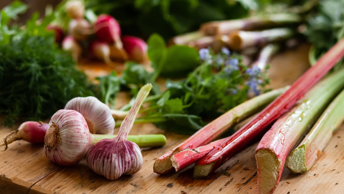 Légumes de saison sur table en bois : ail, rhubarbe, radis rose.