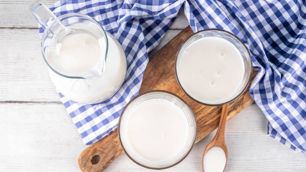 Pichet et verres de lait ribot sur une planche, torchon vichy bleu