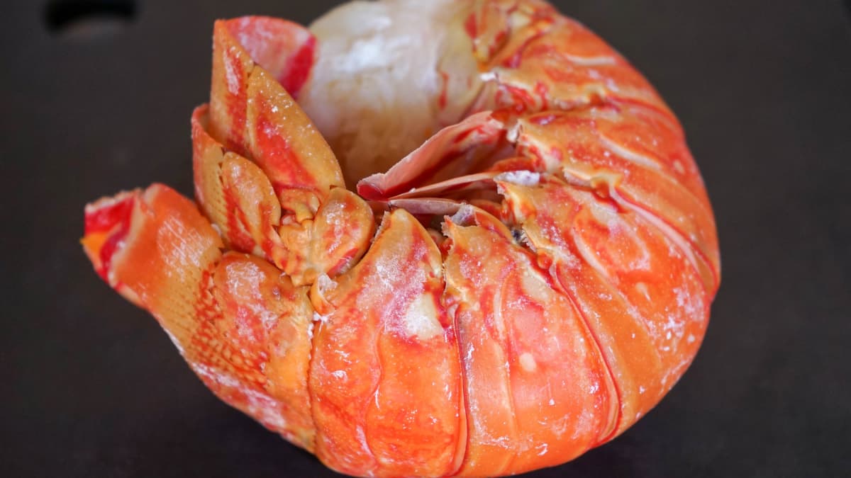 Crustacés après cardinalisation