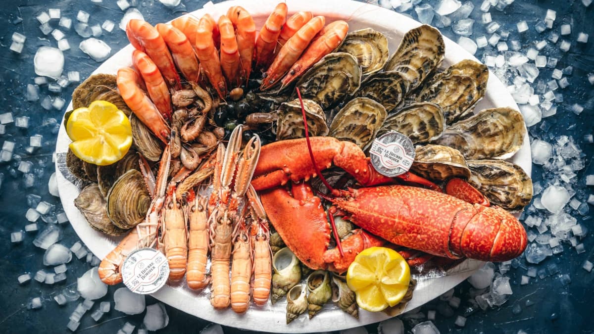 Beau plateau de fruits de mer