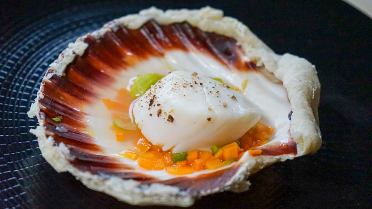 Gros plan sur une noix de Saint-Jacques cuite en coquille lutée