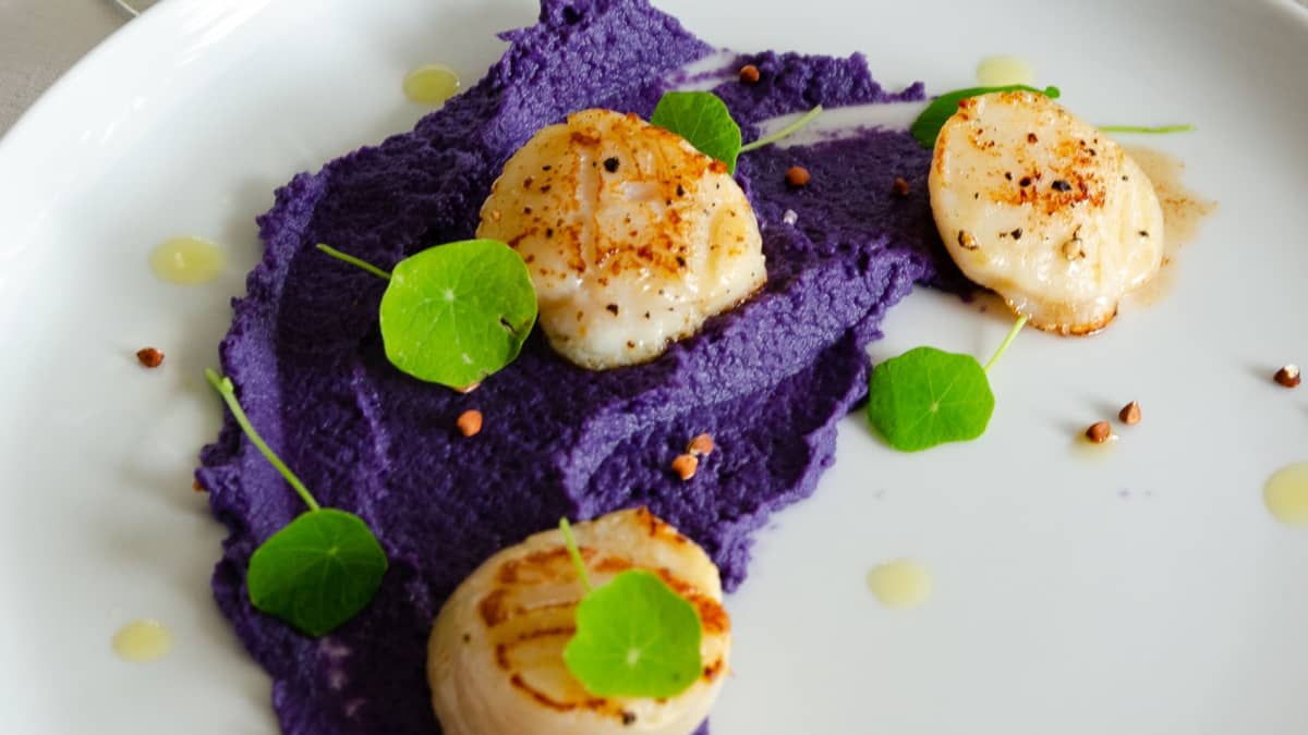 Noix de Saint-Jacques, purée de chou rouge