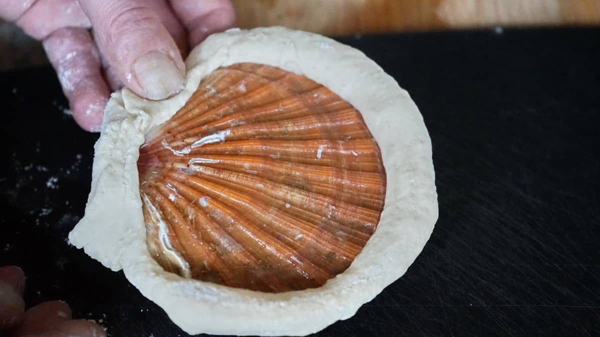 Coquille saint-jacques lutée.