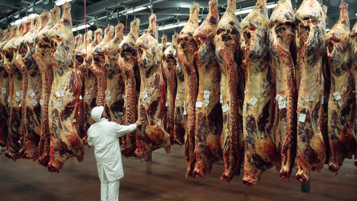 Abattoir