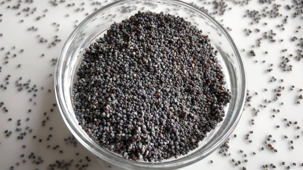 graines de pavot dans un ramequin