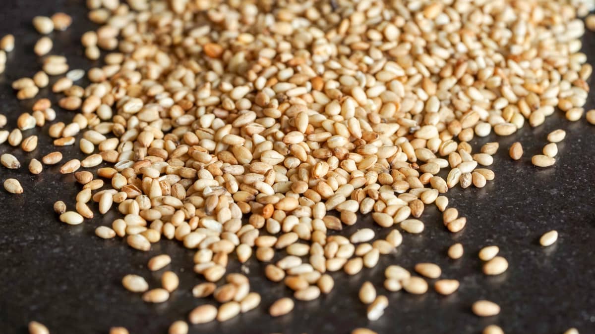 Gros plan sur des graines de sésame