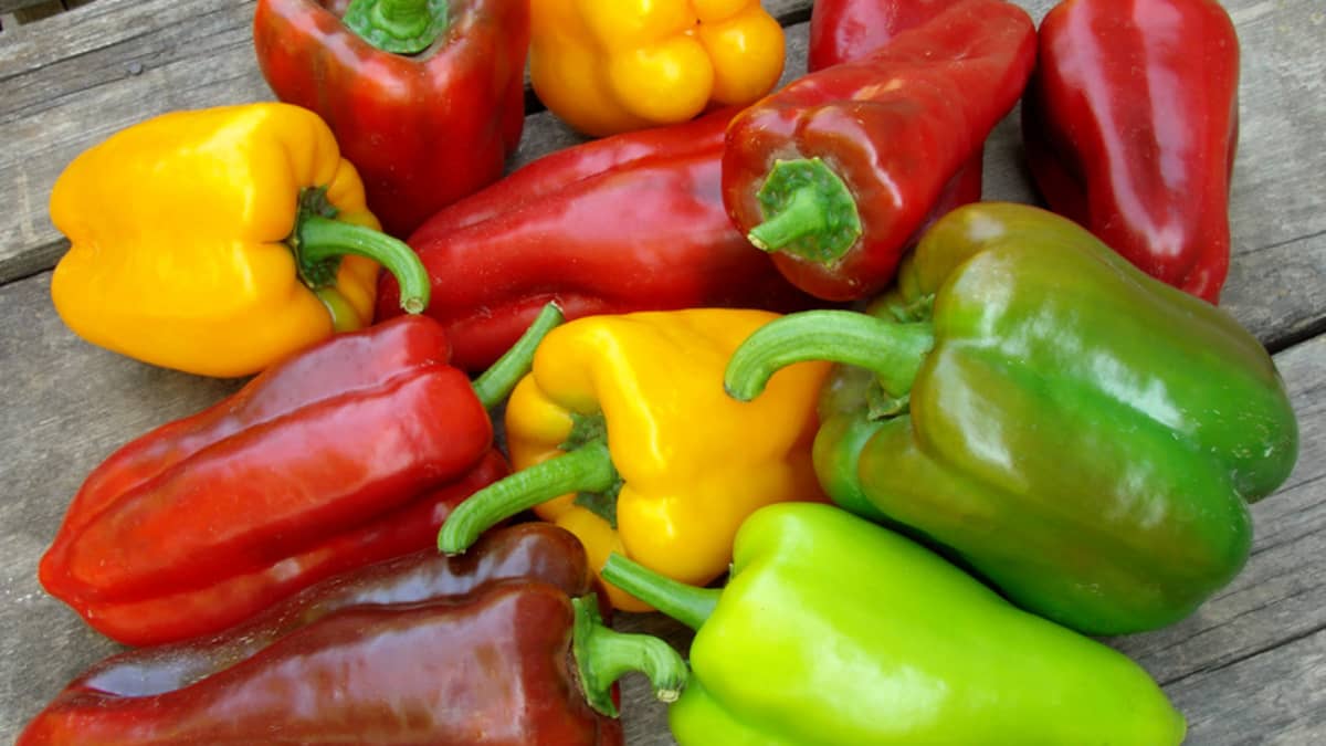 Poivrons colorés sur table en bois