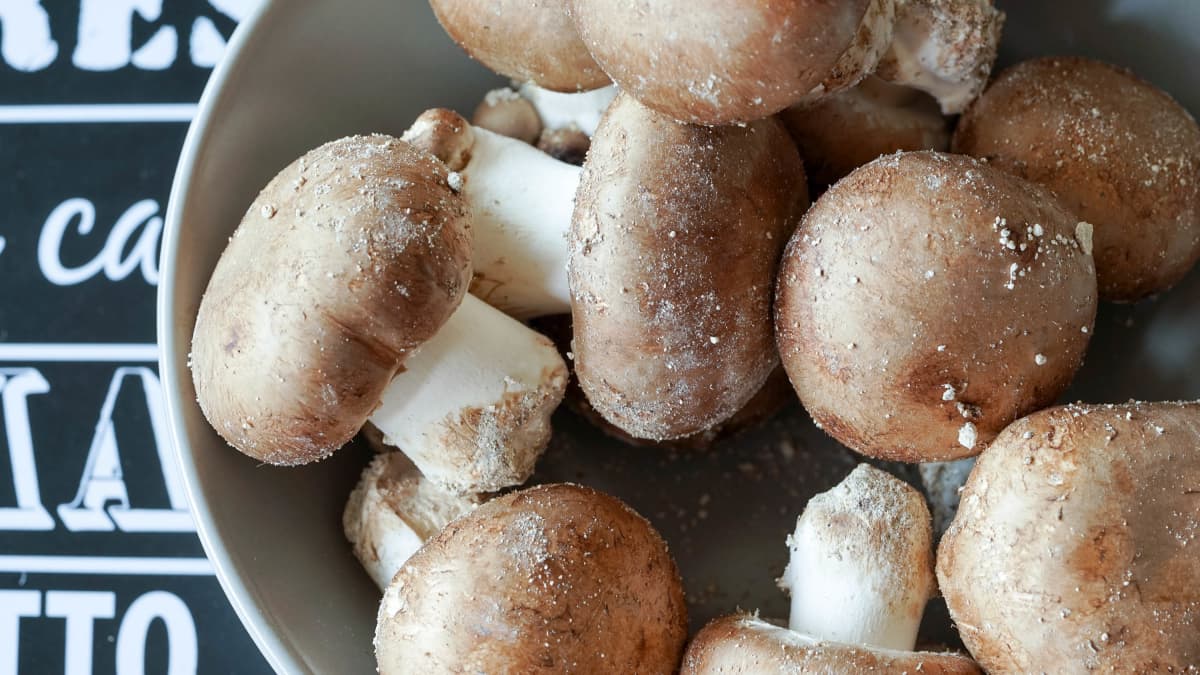 Les champignons de Paris
