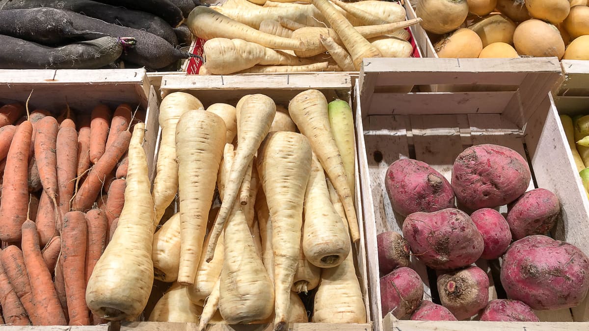 Panais, carottes, navets boule d'or sur un étal