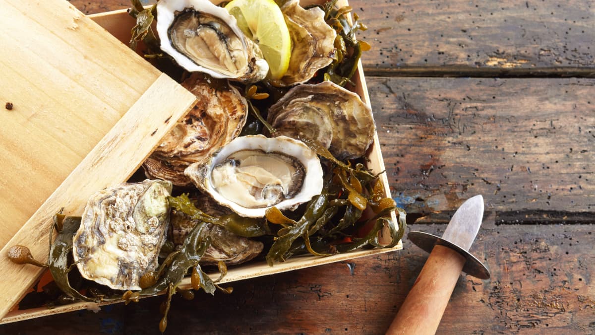 Bourriche d'huîtres fraîches et couteau
