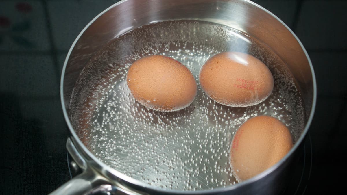 Oeufs dans une casserole d'eau bouillante