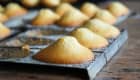 Madeleines juste sorties du four
