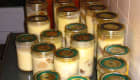 Bocaux de confit de canard avec graisse