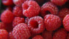 Framboises
