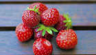 Fraises des bois
