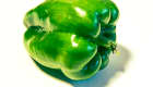 Poivron vert