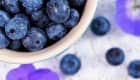 Myrtilles un superaliment