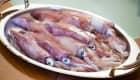 Plat de d'encornets frais