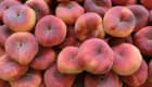 Pêches plates