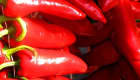 Piment d'Espelette