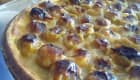 Tarte aux mirabelles