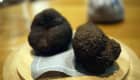 Truffes noires du Périgord